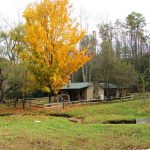 Lily Cove Cottage